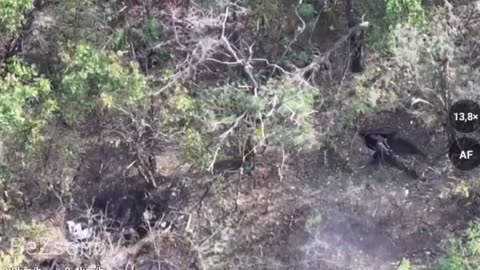 Ukraine war combat footage 10/11/25