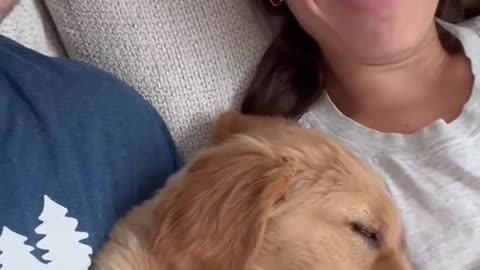 Dog's are very clingy especially when they sleep