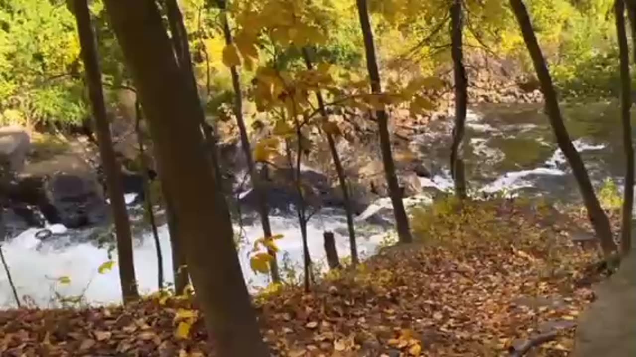 Camping and Hiking Relieves Stress