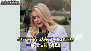 请看美国国际开发署已投放的疯狂优先资金项目