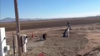 A lineman successfully coaxed a bear off a utility pole in Arizona