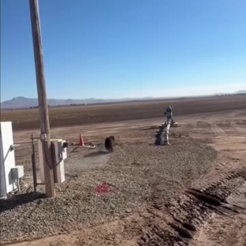 A lineman successfully coaxed a bear off a utility pole in Arizona