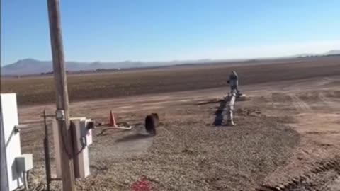 A lineman successfully coaxed a bear off a utility pole in Arizona