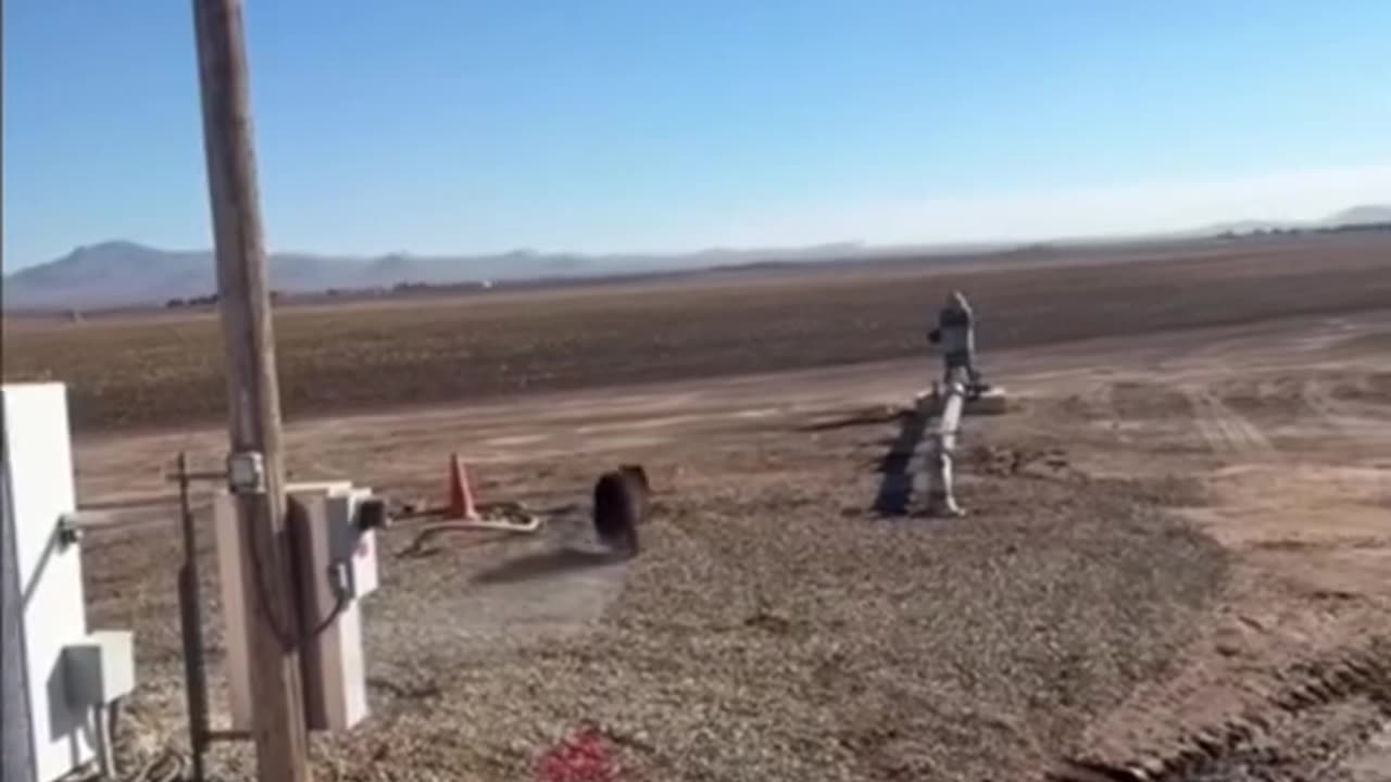 A lineman successfully coaxed a bear off a utility pole in Arizona