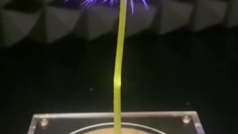 👀💡 Quick Fix for [Common Problem]! | LifeHacksDaily