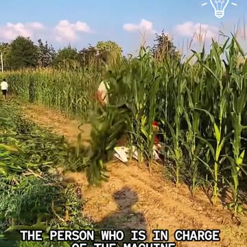 Check out this powerful harvesting machine in action!.hd