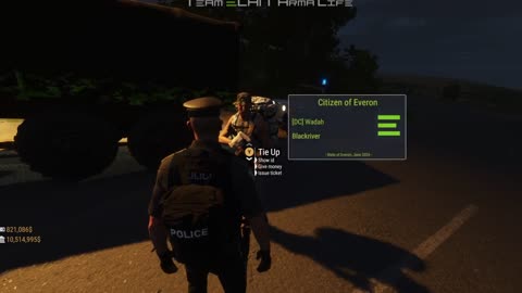 🚦TRAFFIC STOP AT NIGHT. Arma Reforger Team Elan Arma life.