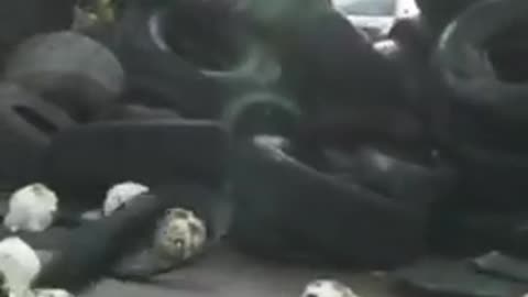 Farmers in France unloaded a variety of items in the street outside holiday home of Macron