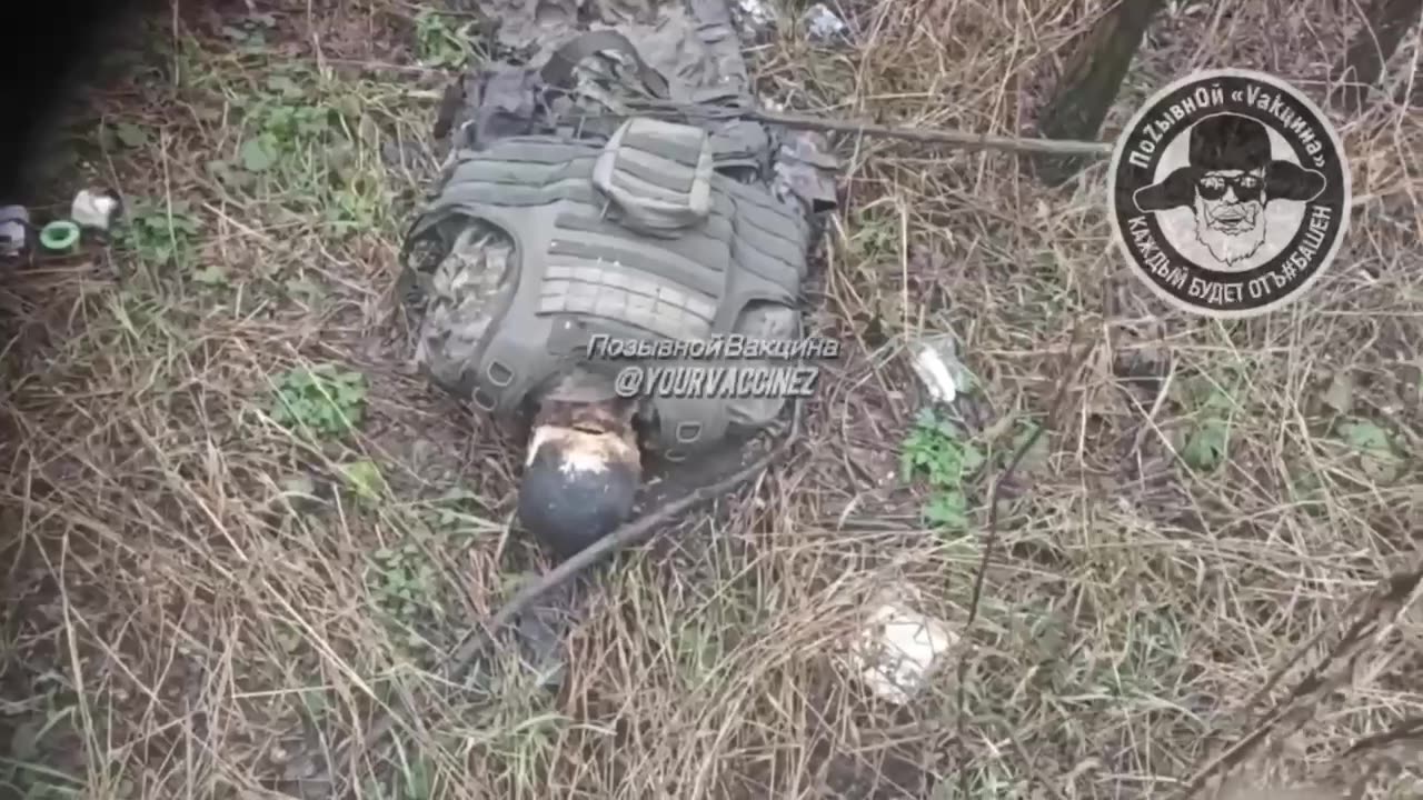 ☠️🐷37431 Pupated as a Zemlyan