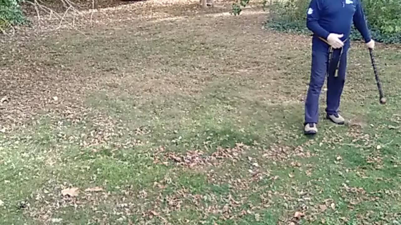 A couple of Shillelagh exercises