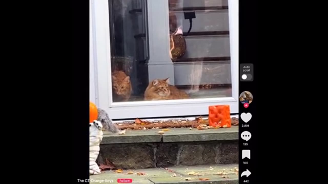 Need a laugh here and there ;)