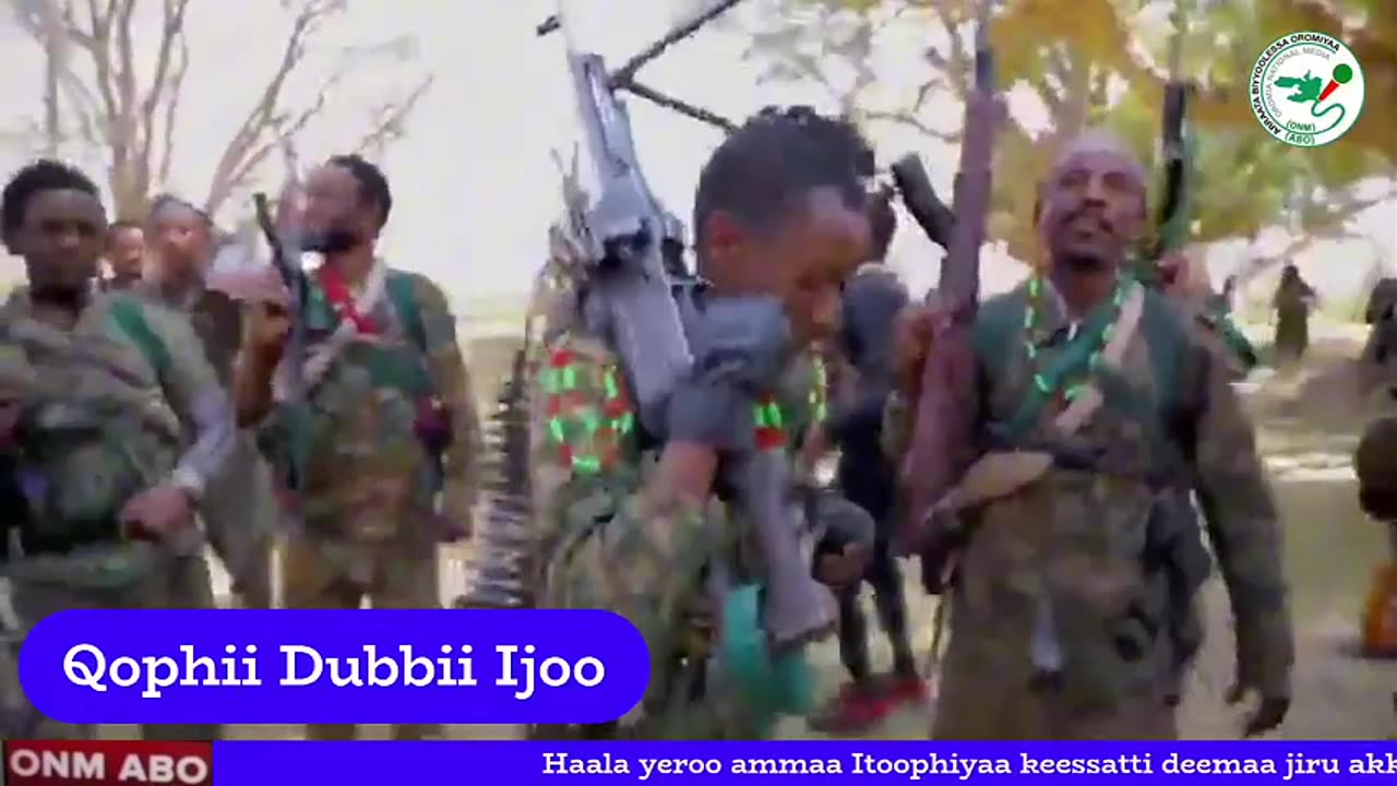 Qophii Dubbii Ijoo ONM-ABO Fulbaana 30-2025 itti dhiyaadhaa!