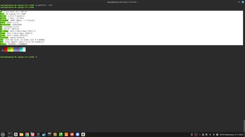 338_how to "print out your computers information without ancii art" with "neofetch --off"