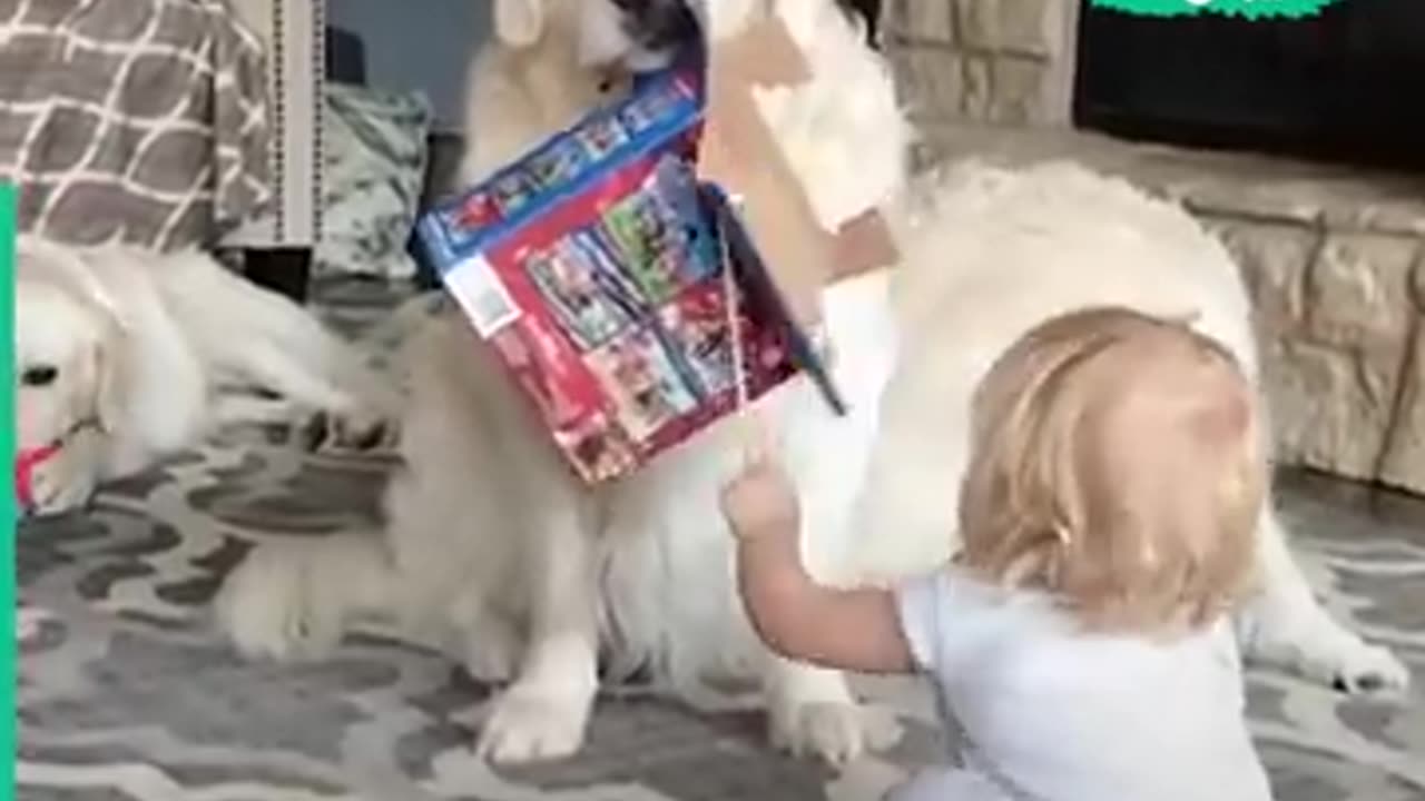 Dog And Babies 💕