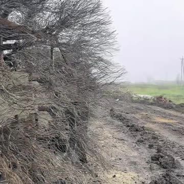 A column of "furry" BMPs and MT-LBs of the Russian Armed Forces