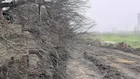 A column of "furry" BMPs and MT-LBs of the Russian Armed Forces