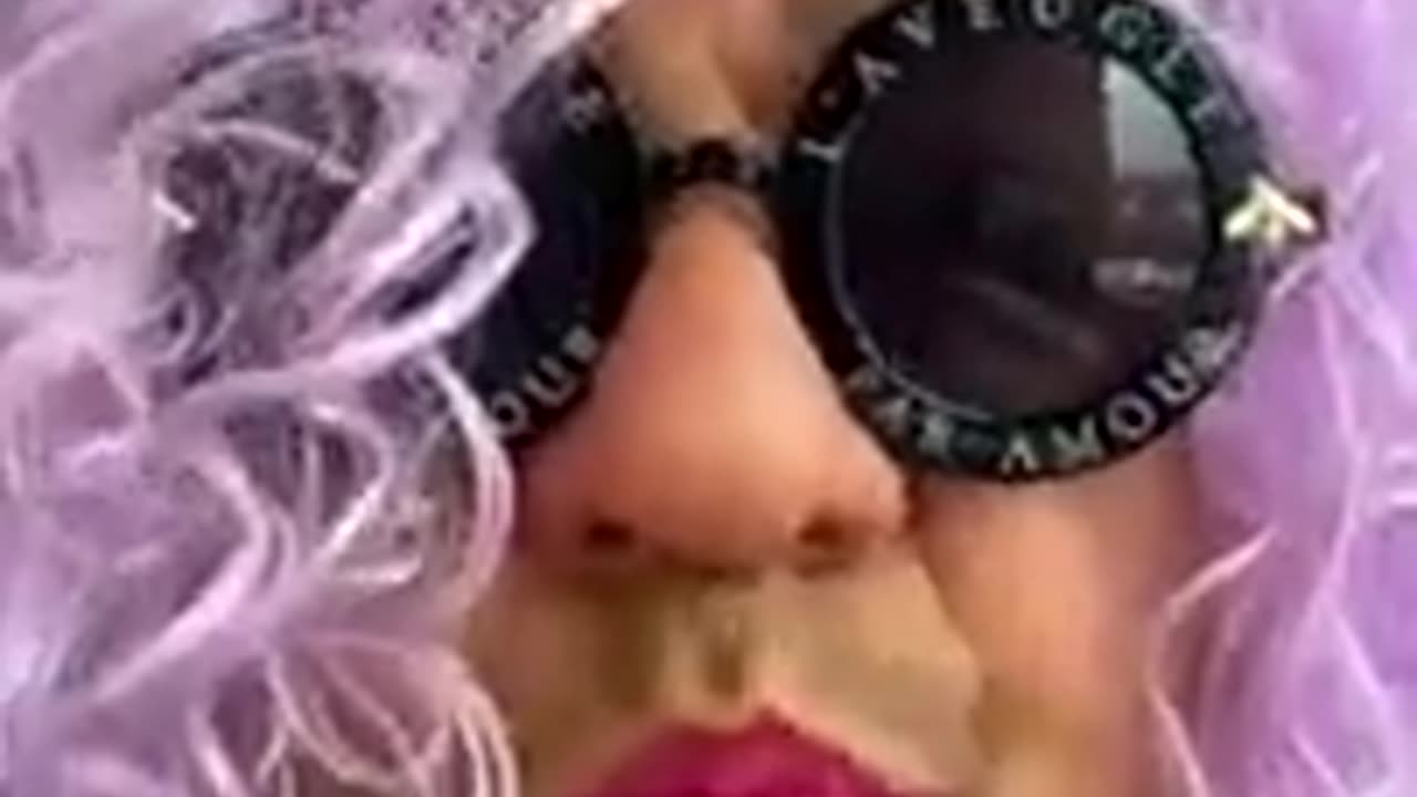 MsH 20201128 (1) Ms Hussy has a new wig