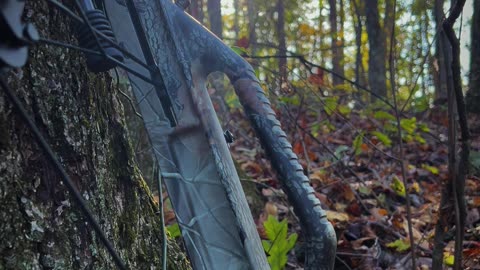 Crossbow Hunt Mishap