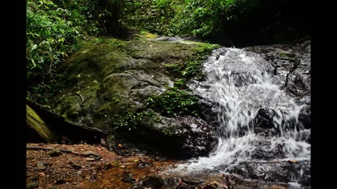 Relaxing Jungle Waterfall | 8 Hours of Rushing Water Sounds for Sleep, Relaxation and Meditation