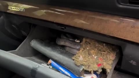 😂😨 Hee's Instant Regret! | FunFM