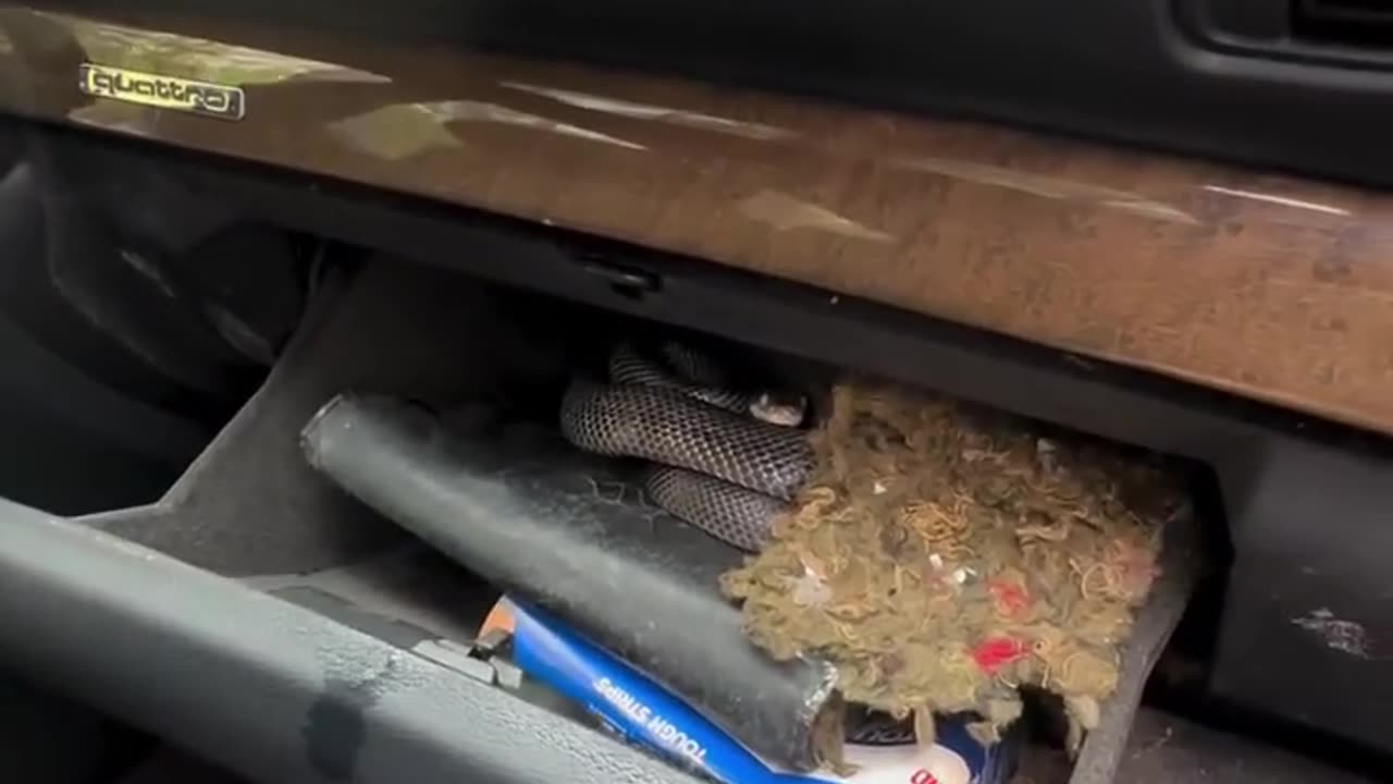 😂😨 Hee's Instant Regret! | FunFM