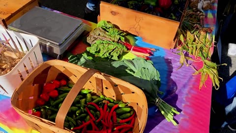 Final Market of October at the South County Seasonal Farmers Market! 10-25-25