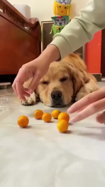 The illusion of deception