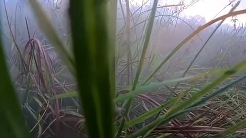 Ukraine war combat footage 10/21/25