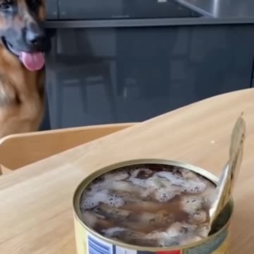 Does not pass the smell test 😂