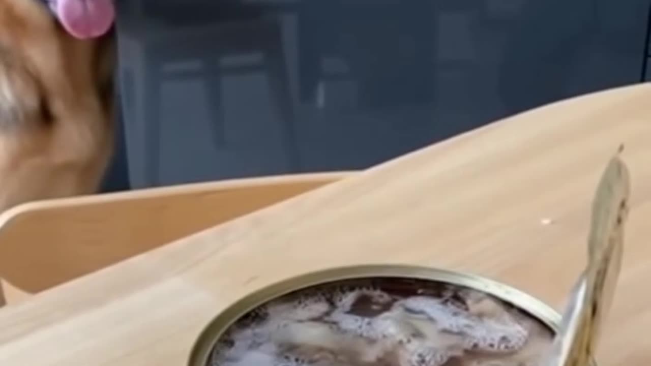 Does not pass the smell test 😂