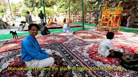 Bodhi Tree and Meditation Place at Bodh Gaya