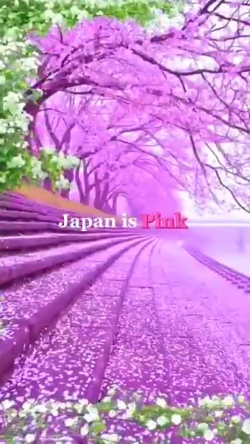 Look Breathtaking beauty of Japan 😍😍😍