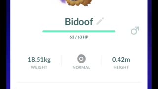 Pokémon GO-Purifying Shadow Bidoof