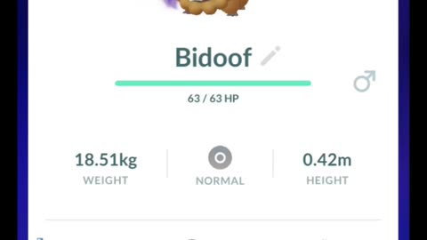 Pokémon GO-Purifying Shadow Bidoof