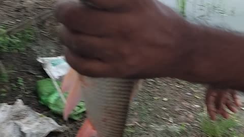 Fishing in the pond by fishing rod