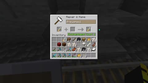 Chat message gets you a named villager