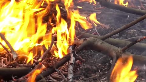 Prevenção combate incêndios