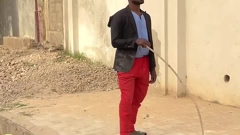 funny videos