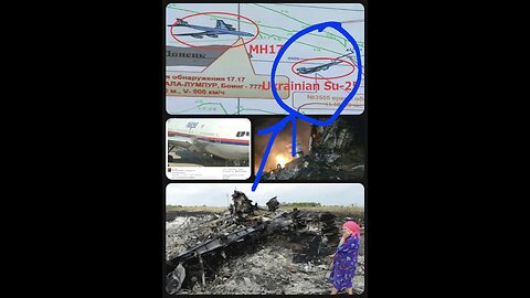 The Malaysian Airliner MH17 Was Shot Down By A Ukrainian Fighter Jet.