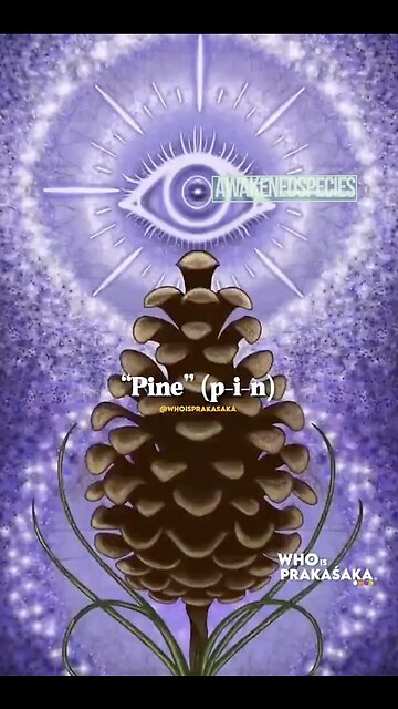 Le Conte De PINOCCHIO Est Une Pure Allégorie Occulte