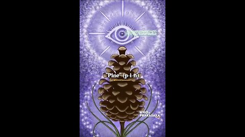 Le Conte De PINOCCHIO Est Une Pure Allégorie Occulte