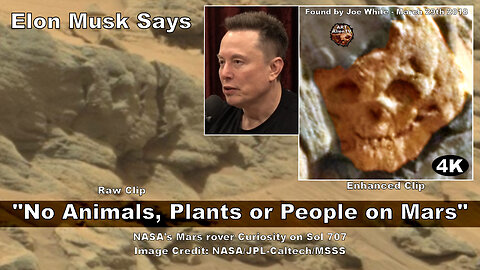 Elon Musk Says "No Animals, Plants or People on Mars". 4K