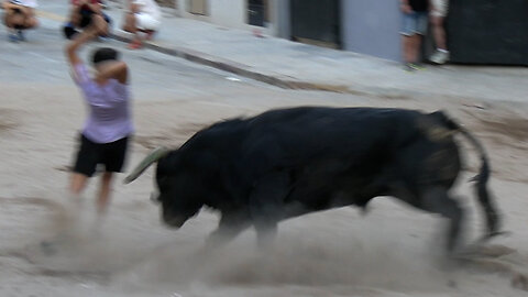 2025 09 15 LA VALL D'UIXÓ JUAN PEDRO DOMECQ Nº125 Y Nº123