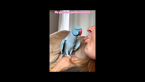 Parrot 🦜
