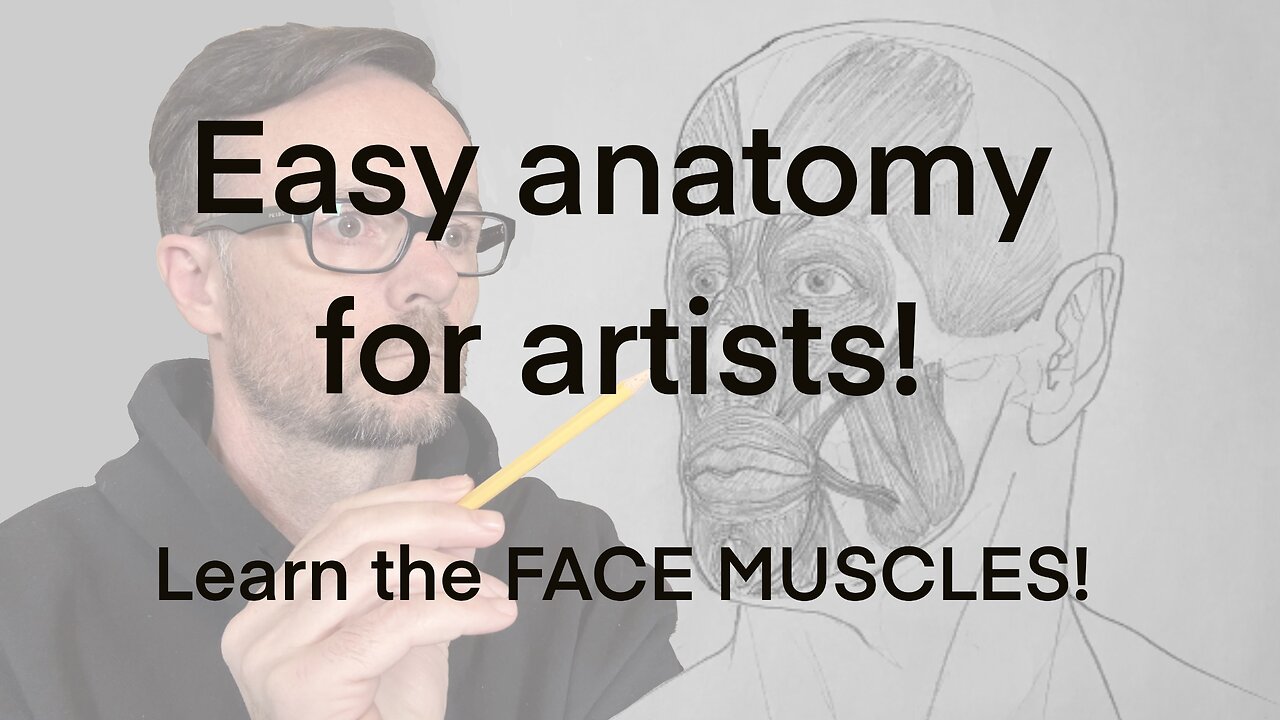 The FACE MUSCLES every artist needs to know