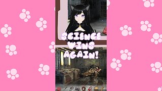 “I Love It When I’m Right” 💀