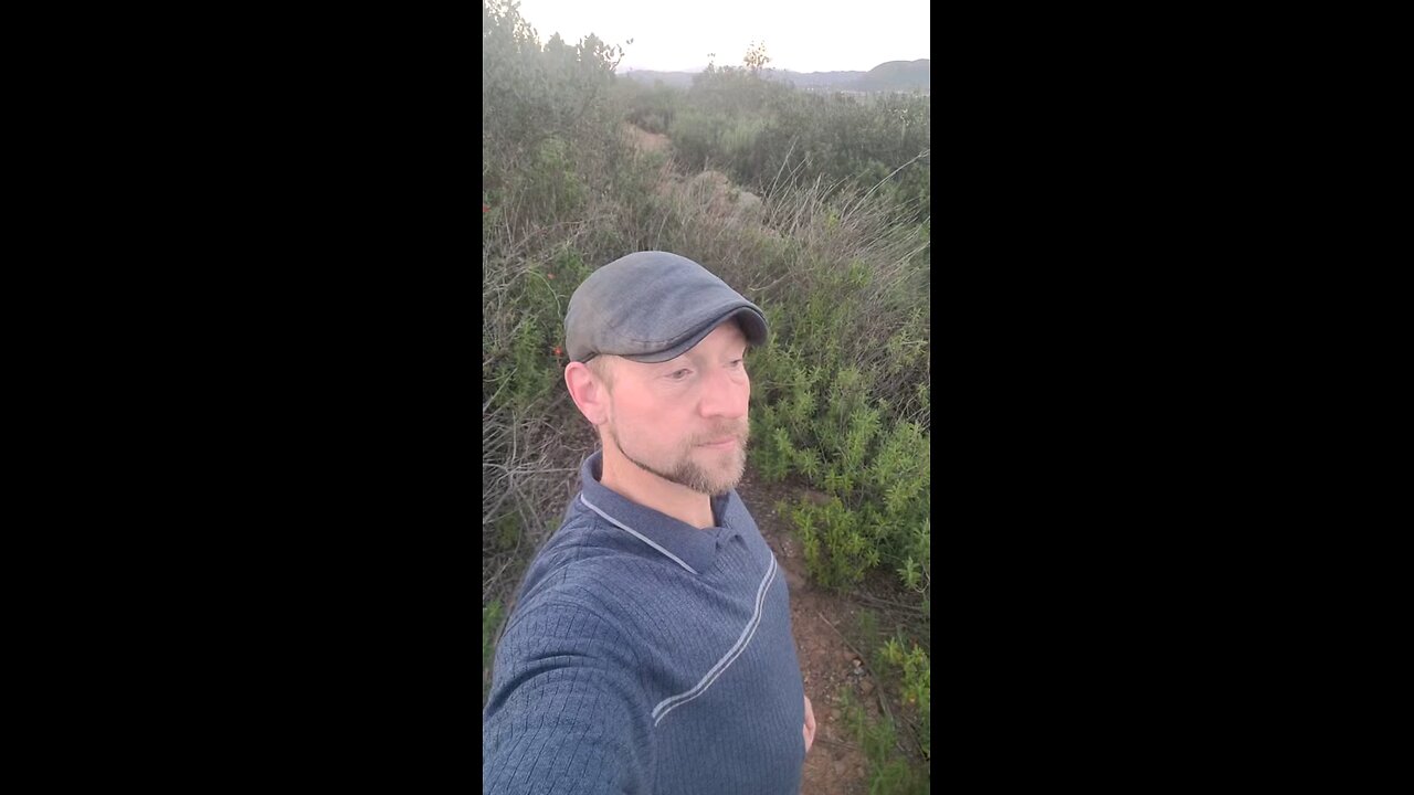 Renovated EXPRESSION - Full Moon in Leo ♌️