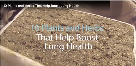 10 Plants and Herbs That Help Boost Lung Health