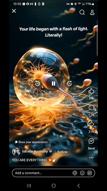 Life begins with conception