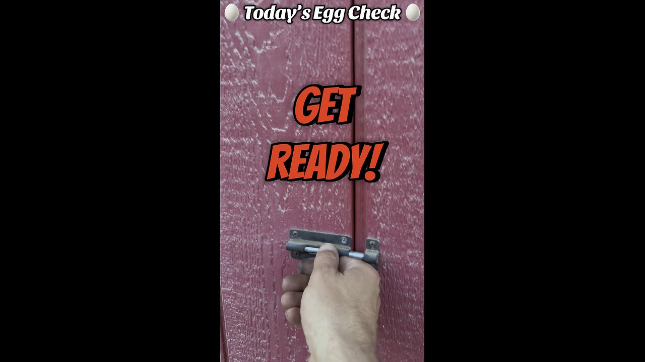 🥚 Today’s Egg Check! 🥚